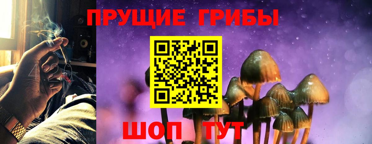 Галлюциногенные грибы Cubensis Кудымкар